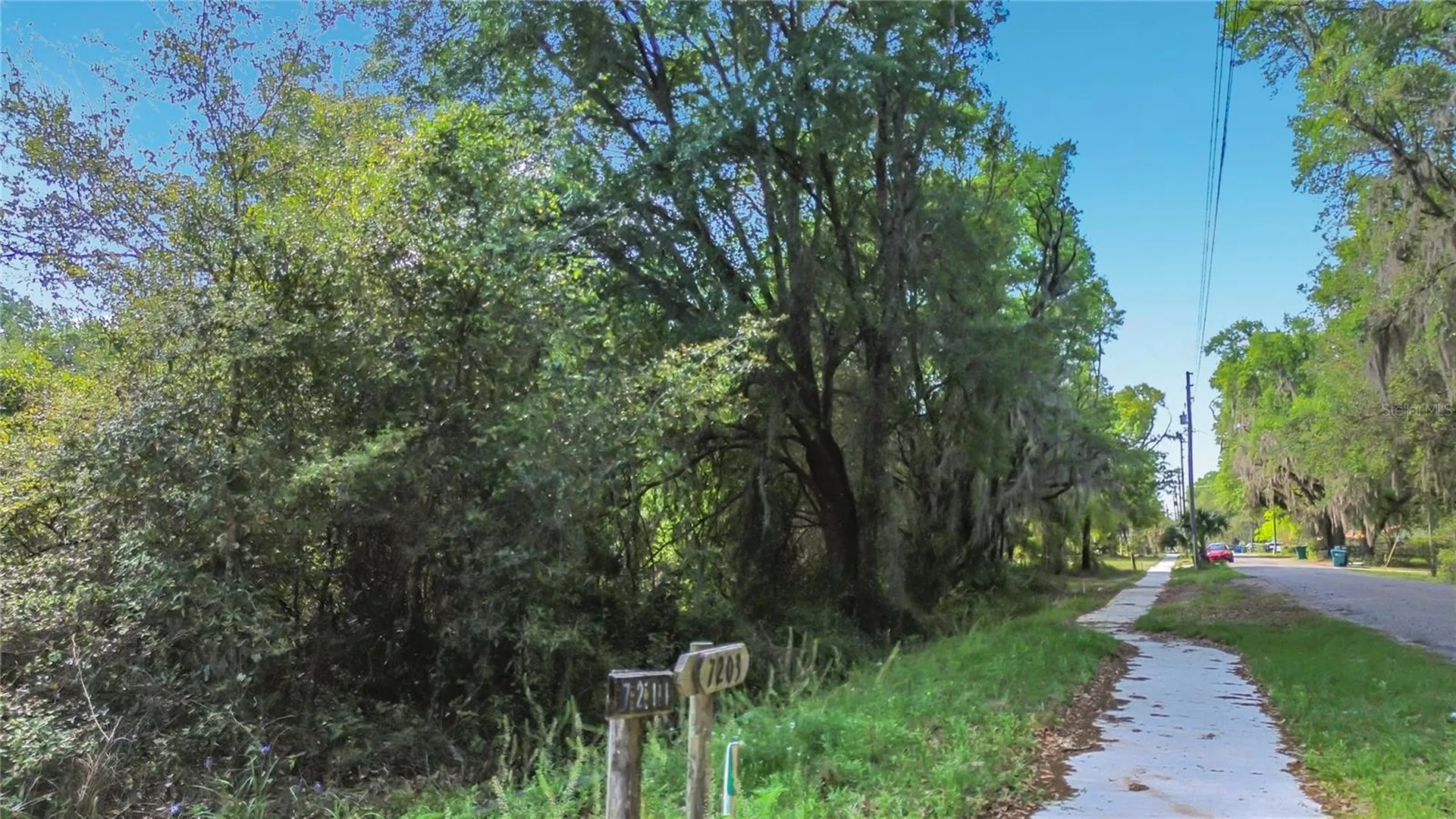 County Road 213 Wildwood FL 34785