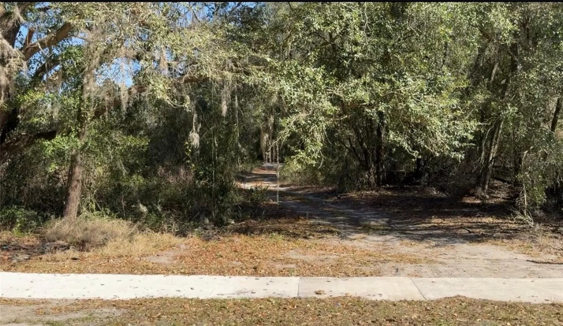 County Road 213 Wildwood FL 34785