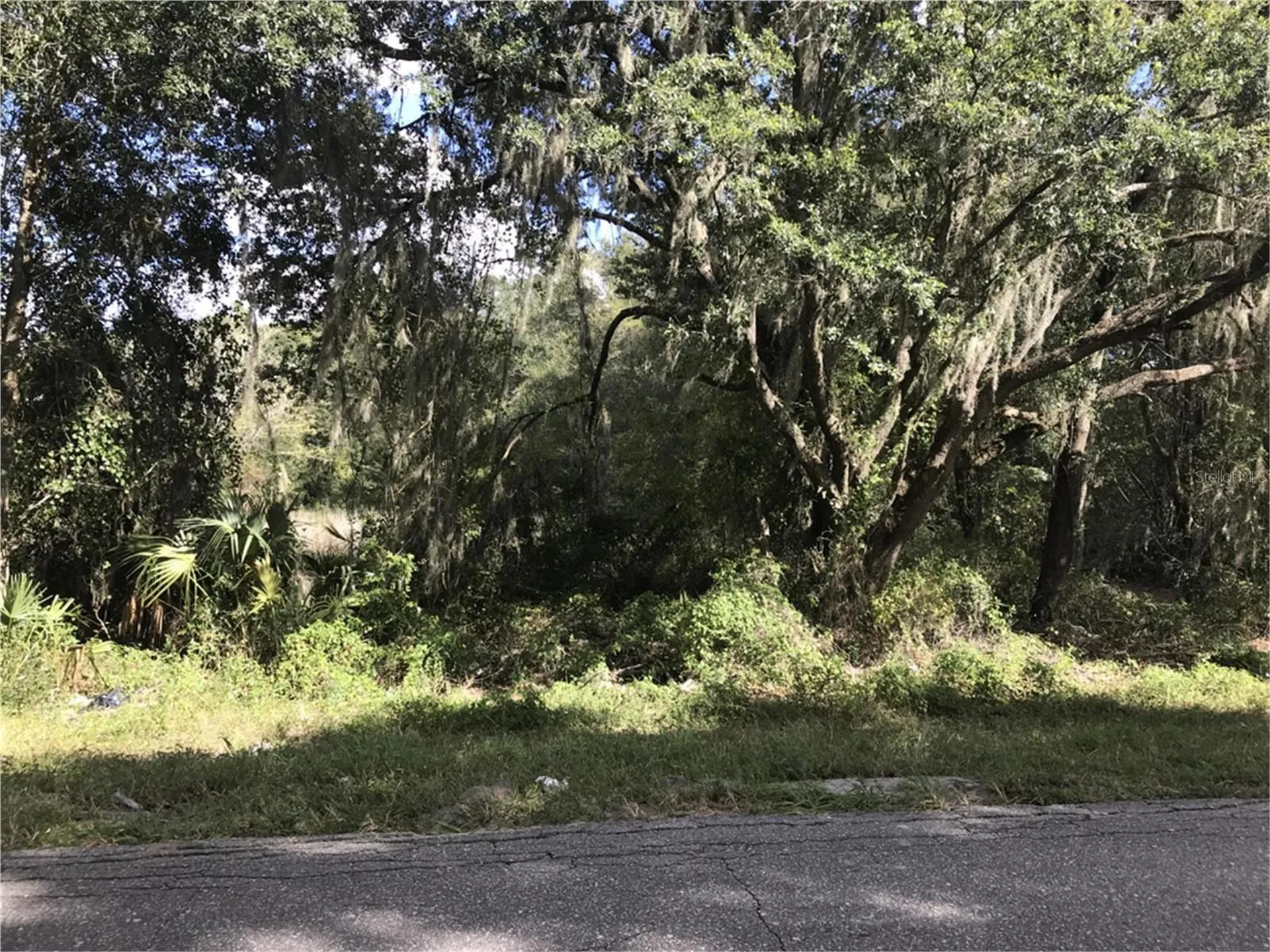 County Road 213 Wildwood FL 34785