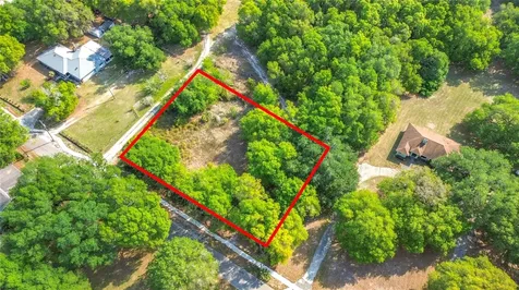 County Road 213 Wildwood FL 34785