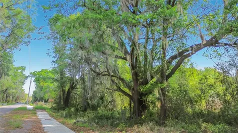 County Road 213 Wildwood FL 34785
