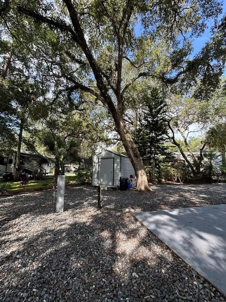 25314 NE 141st Street Salt Springs FL 32134