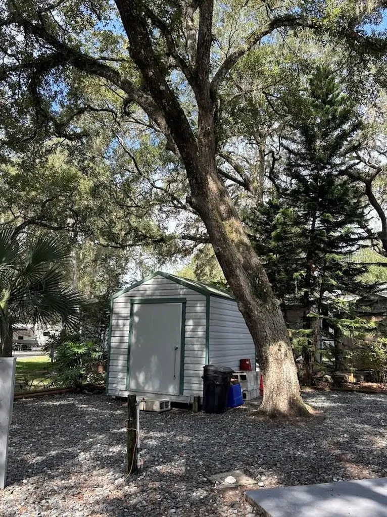 25314 NE 141st Street Salt Springs FL 32134