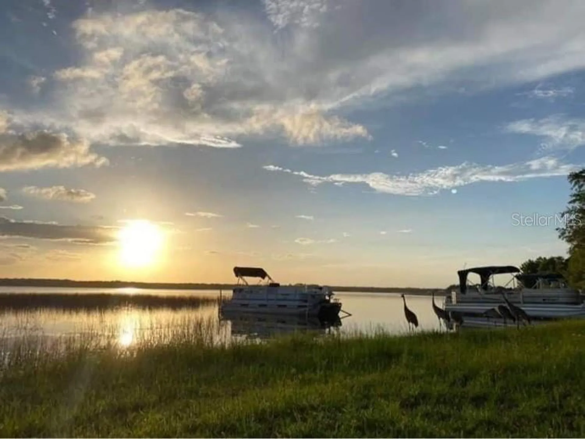25314 NE 141st Street Salt Springs FL 32134