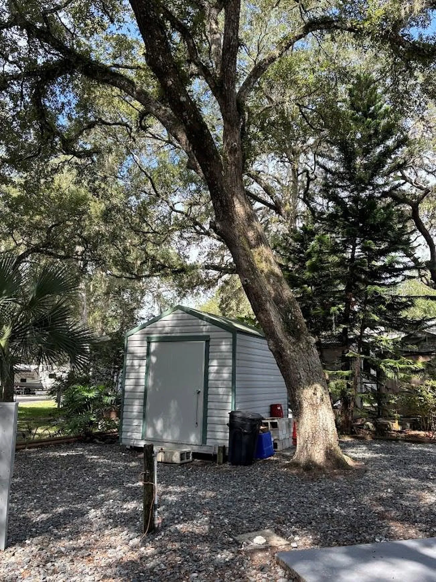 25314 NE 141st Street Salt Springs FL 32134