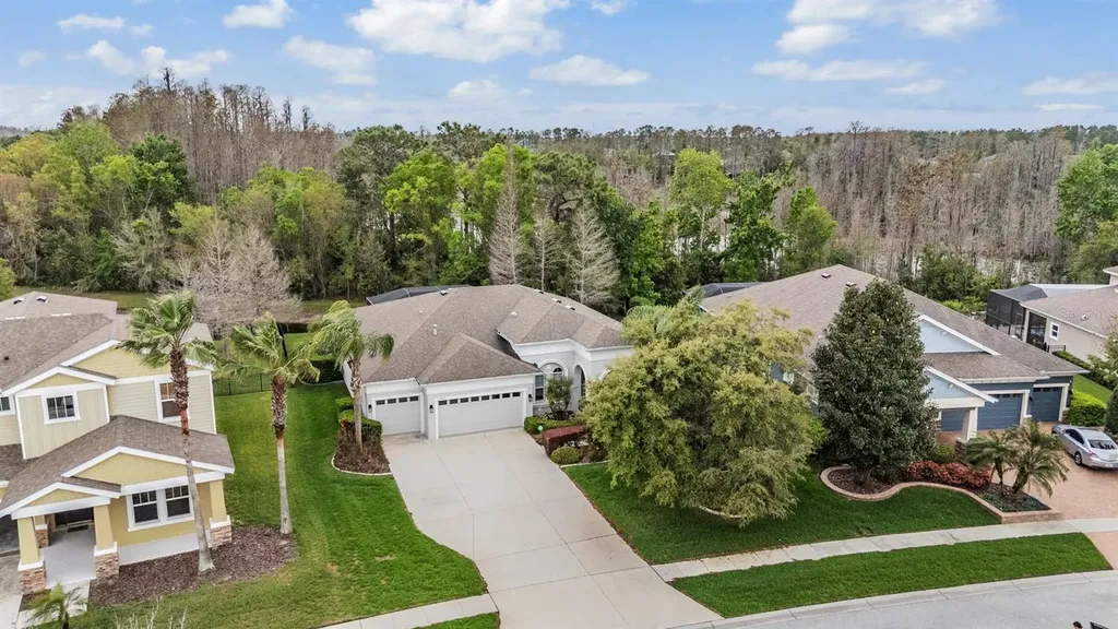 19420 Autumn Chase Court Land O Lakes FL 34638