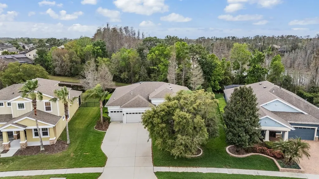 19420 Autumn Chase Court Land O Lakes FL 34638