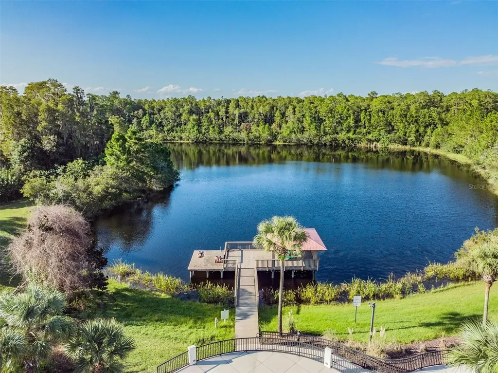 19420 Autumn Chase Court Land O Lakes FL 34638