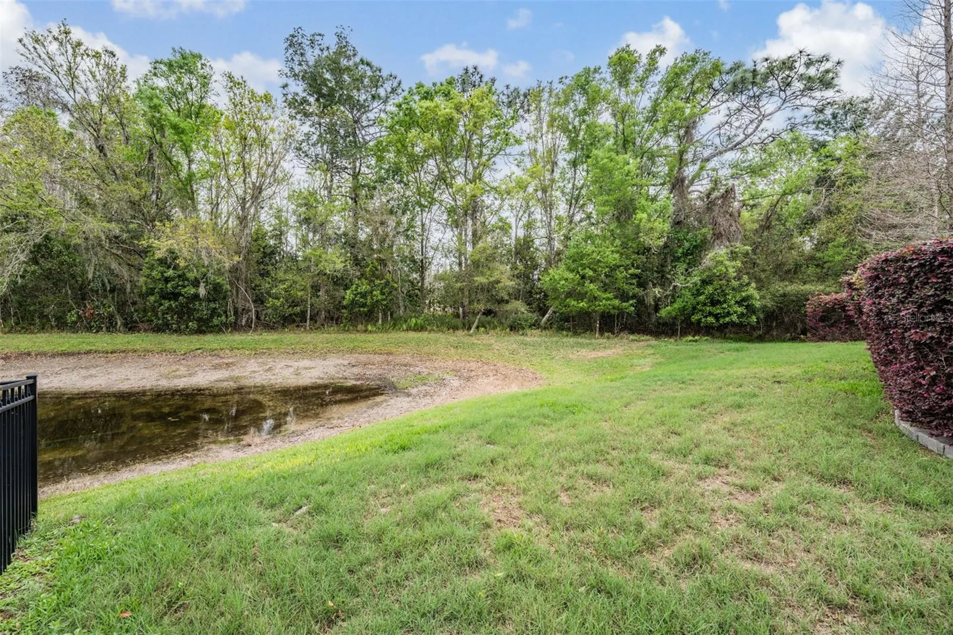 19420 Autumn Chase Court Land O Lakes FL 34638