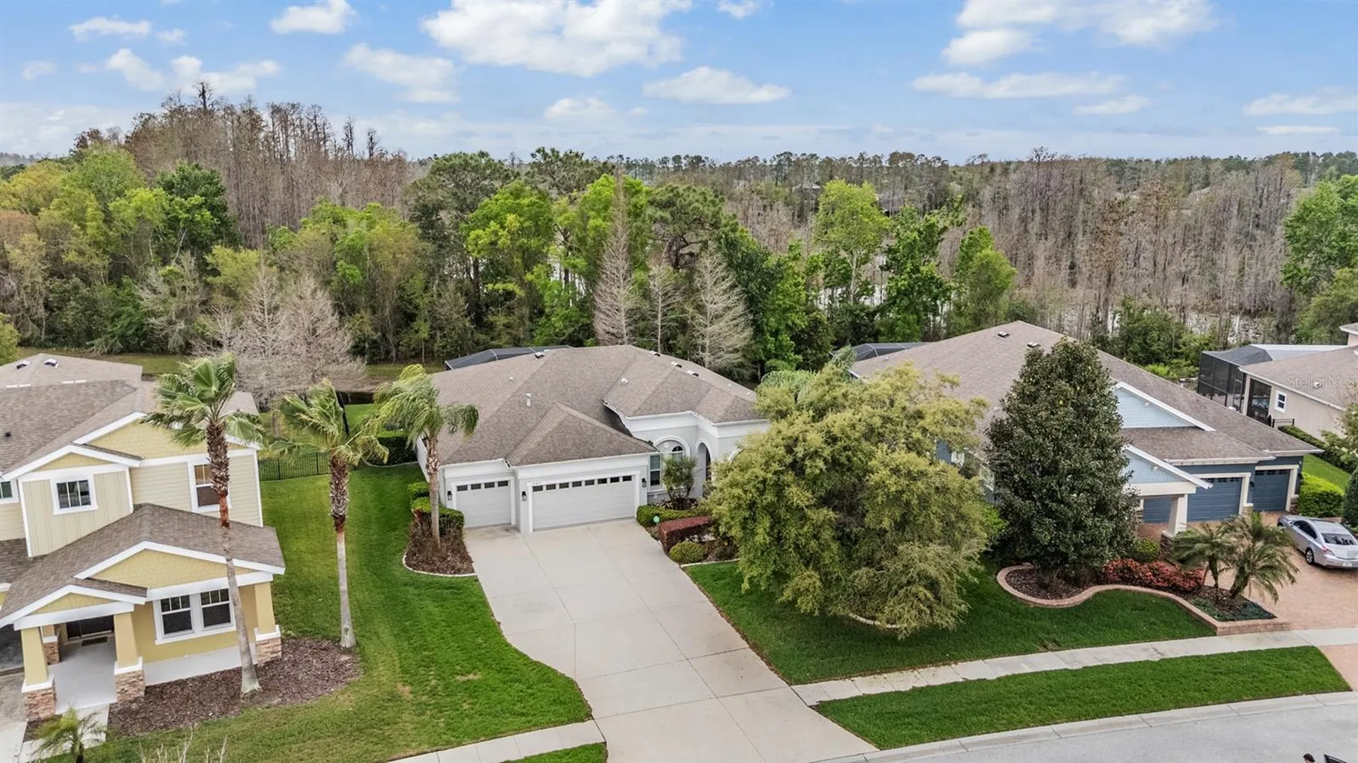 19420 Autumn Chase Court Land O Lakes FL 34638