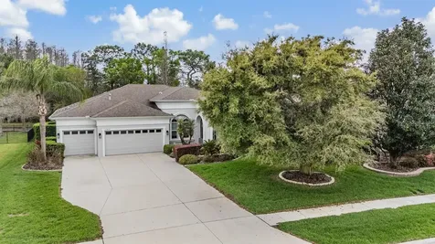 19420 Autumn Chase Court Land O Lakes FL 34638