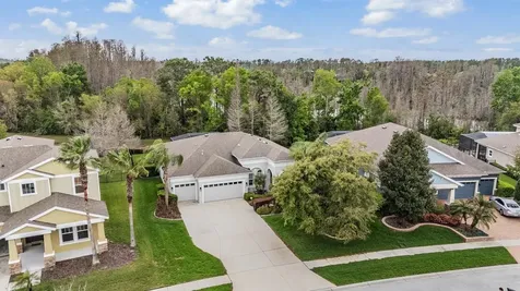 19420 Autumn Chase Court Land O Lakes FL 34638