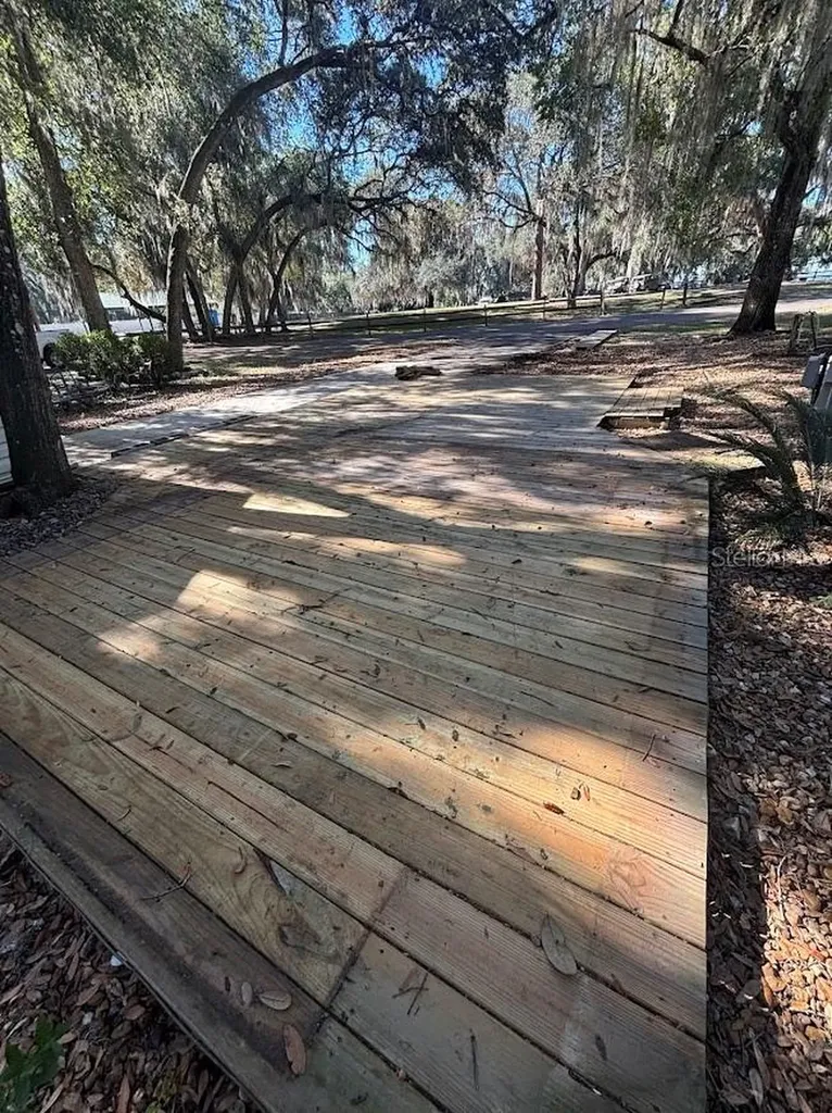 25287 NE 139th Lane Salt Springs FL 32134