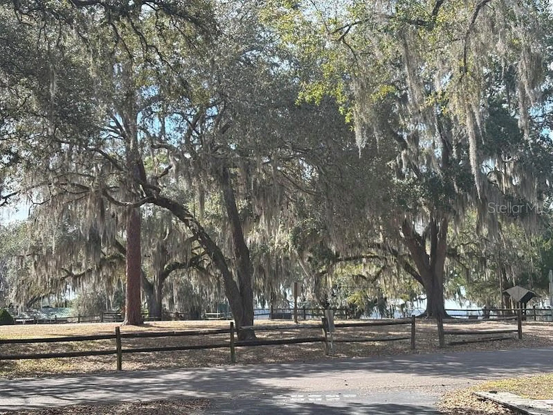 25287 NE 139th Lane Salt Springs FL 32134
