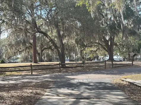 25287 NE 139th Lane Salt Springs FL 32134