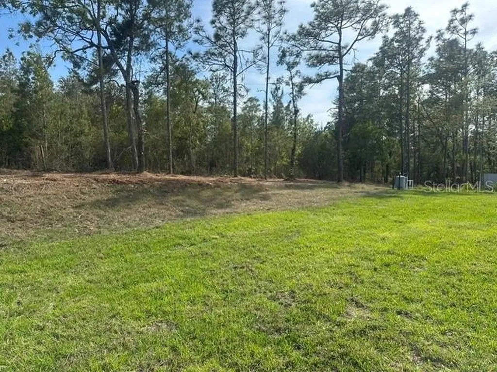11248 Flock Avenue Weeki Wachee FL 34613