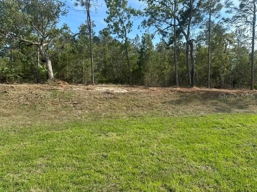 11248 Flock Avenue Weeki Wachee FL 34613