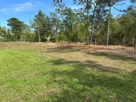 11248 Flock Avenue Weeki Wachee FL 34613