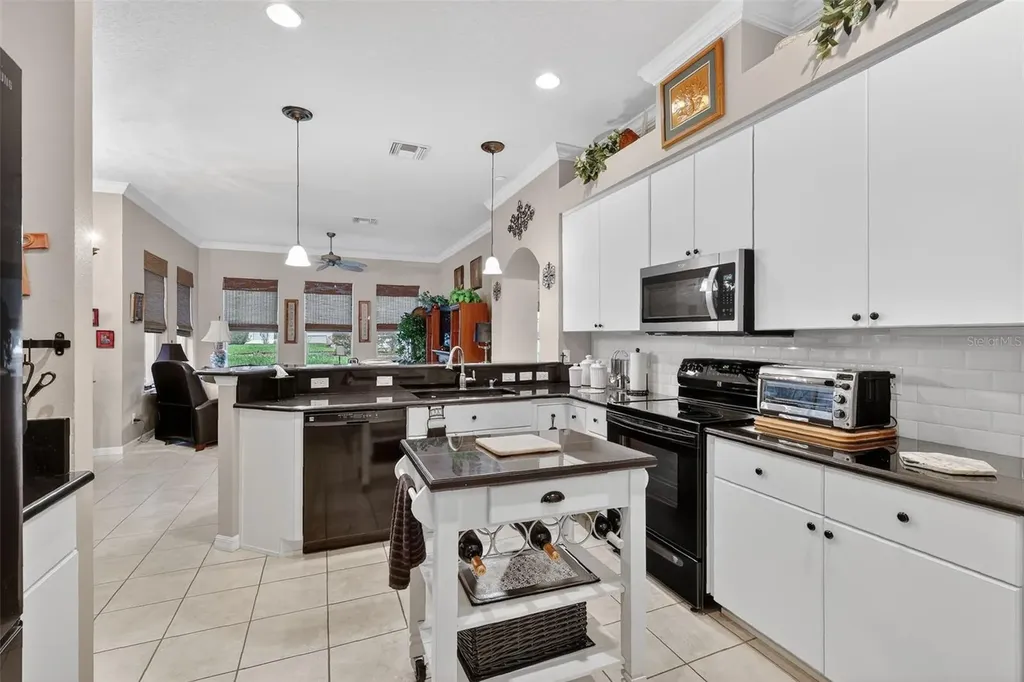 5154 Aurora Drive Leesburg FL 34748