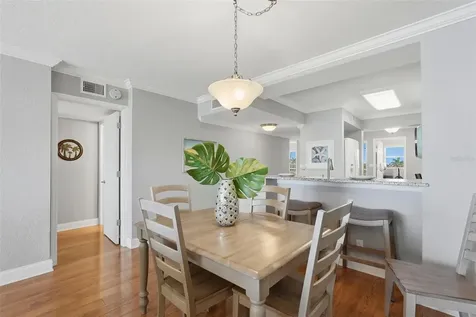 5801 Bahia Del Mar Circle St Petersburg FL 33715