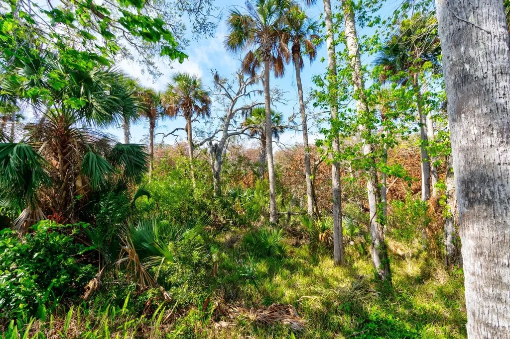 1508 Saxon Drive New Smyrna Beach FL 32169