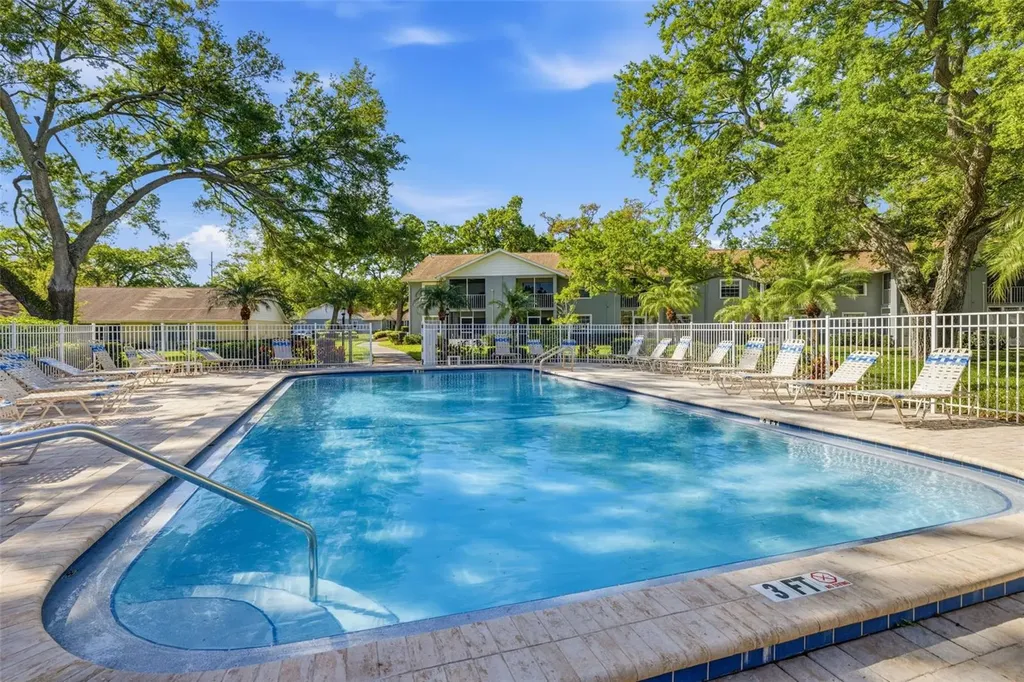 1465 Millstream Lane Dunedin FL 34698