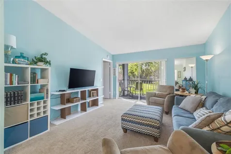 1465 Millstream Lane Dunedin FL 34698