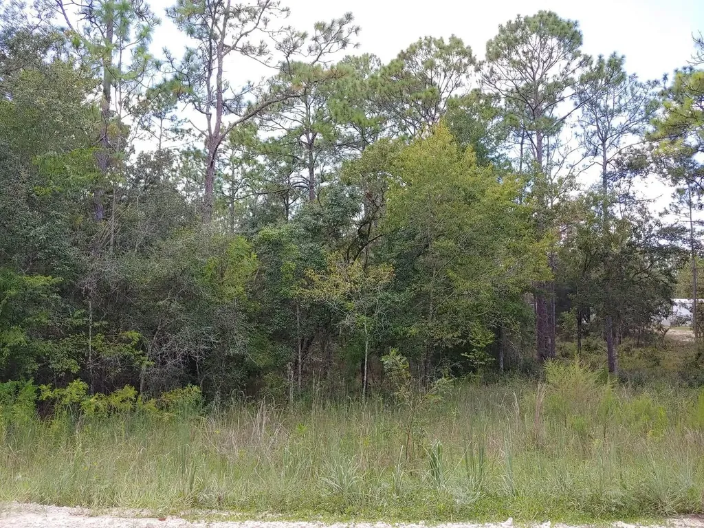 Tbd SE 150th Avenue Morriston FL 32668