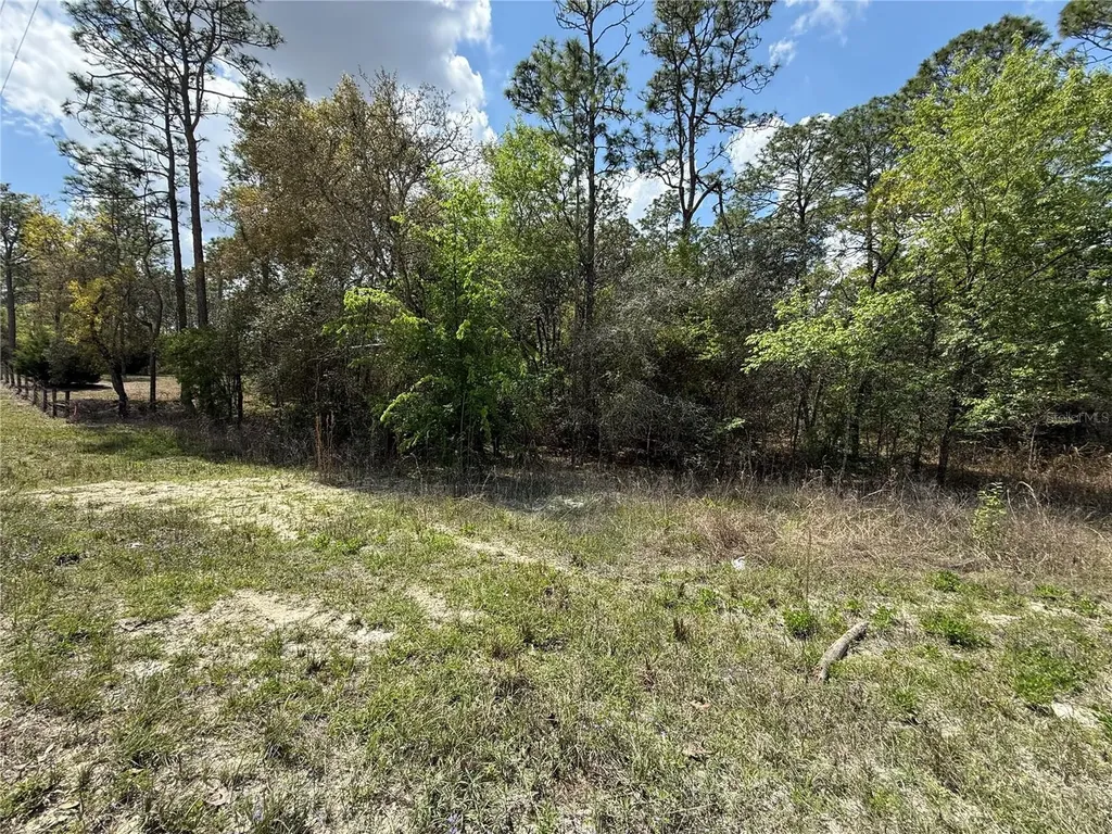 Tbd SE 150th Avenue Morriston FL 32668
