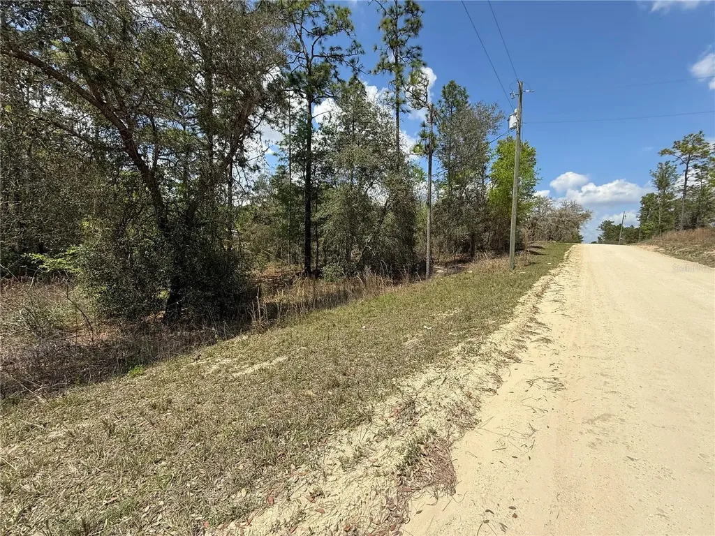 Tbd SE 150th Avenue Morriston FL 32668