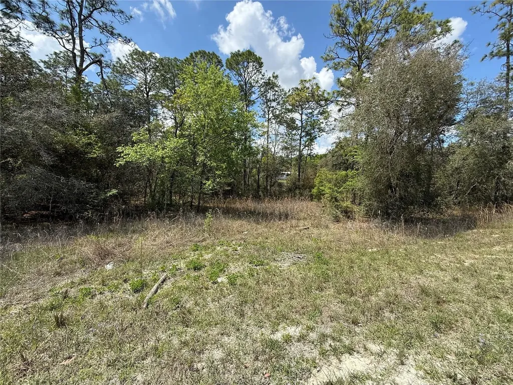 Tbd SE 150th Avenue Morriston FL 32668