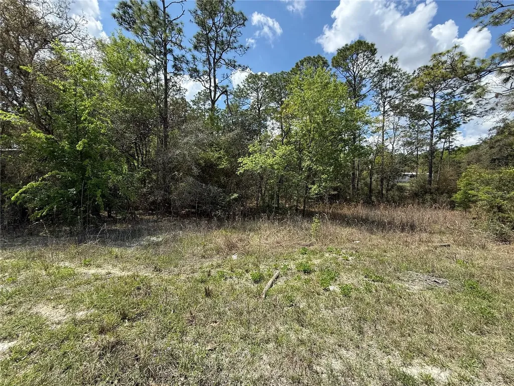 Tbd SE 150th Avenue Morriston FL 32668