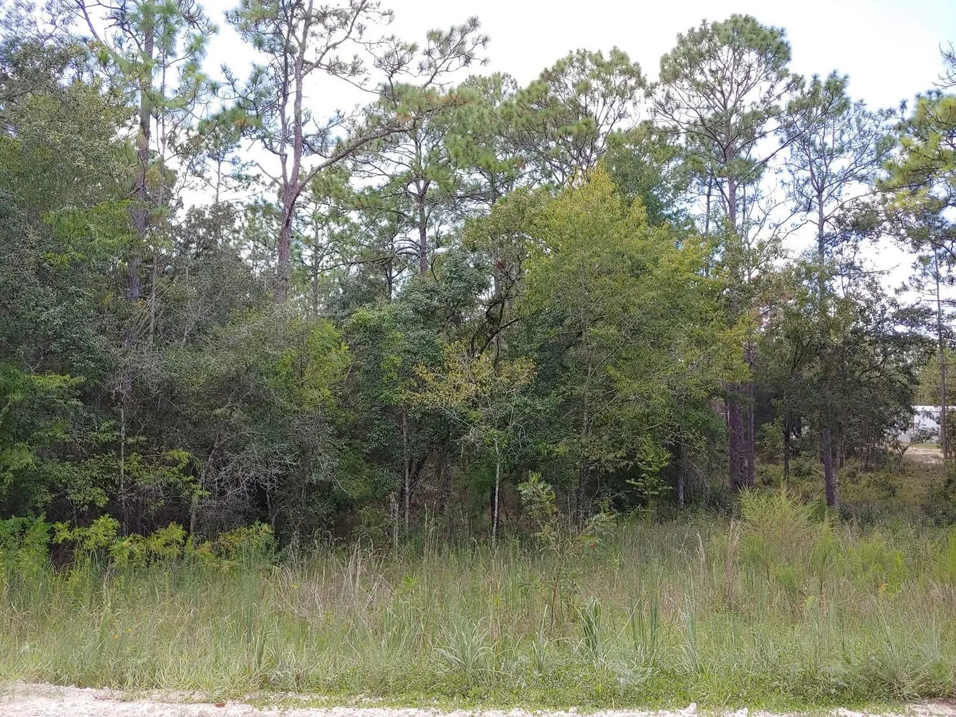 Tbd SE 150th Avenue Morriston FL 32668