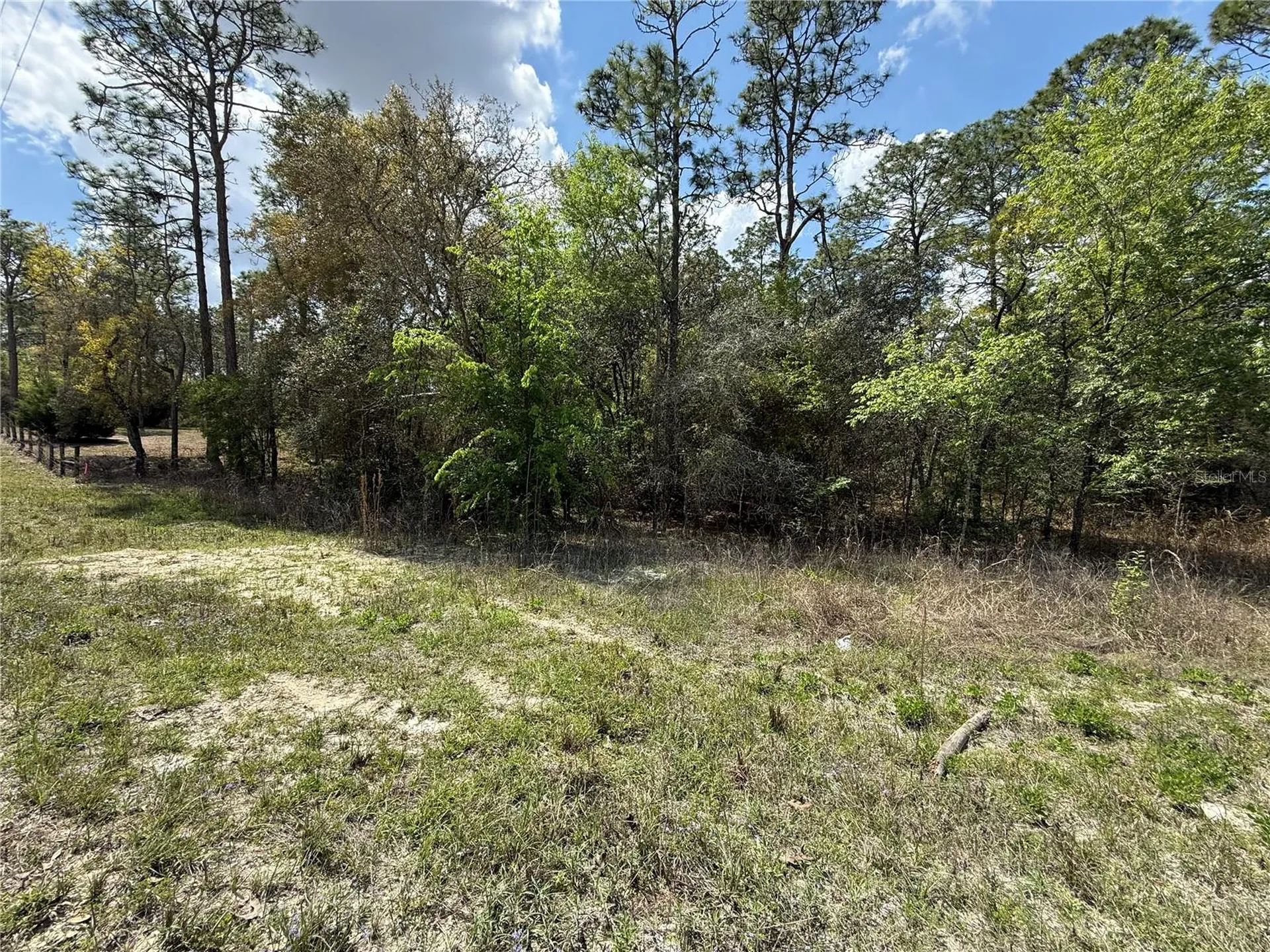 Tbd SE 150th Avenue Morriston FL 32668