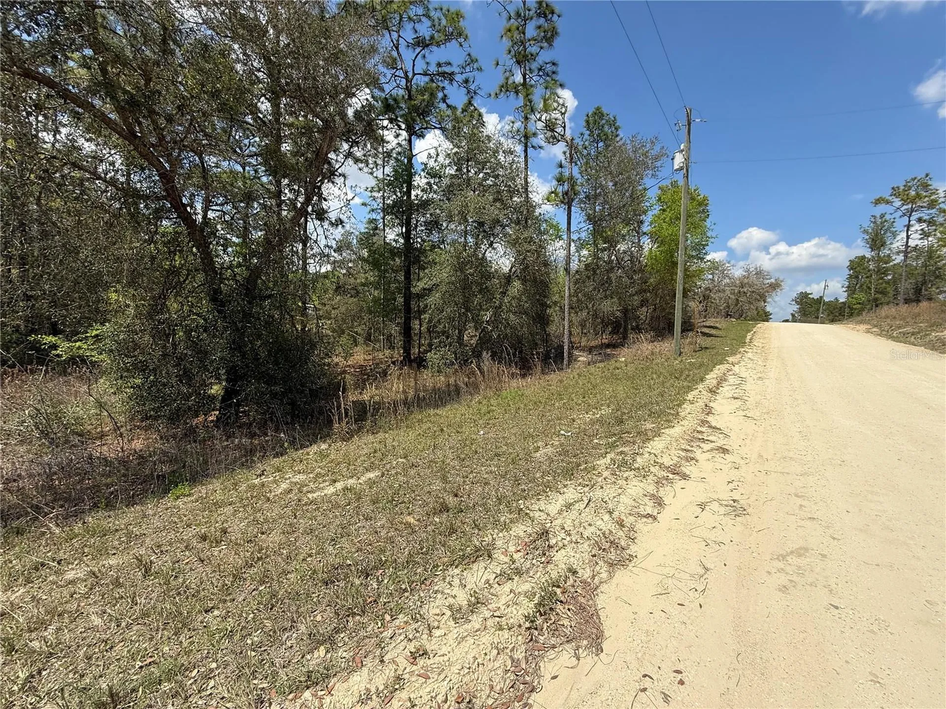 Tbd SE 150th Avenue Morriston FL 32668