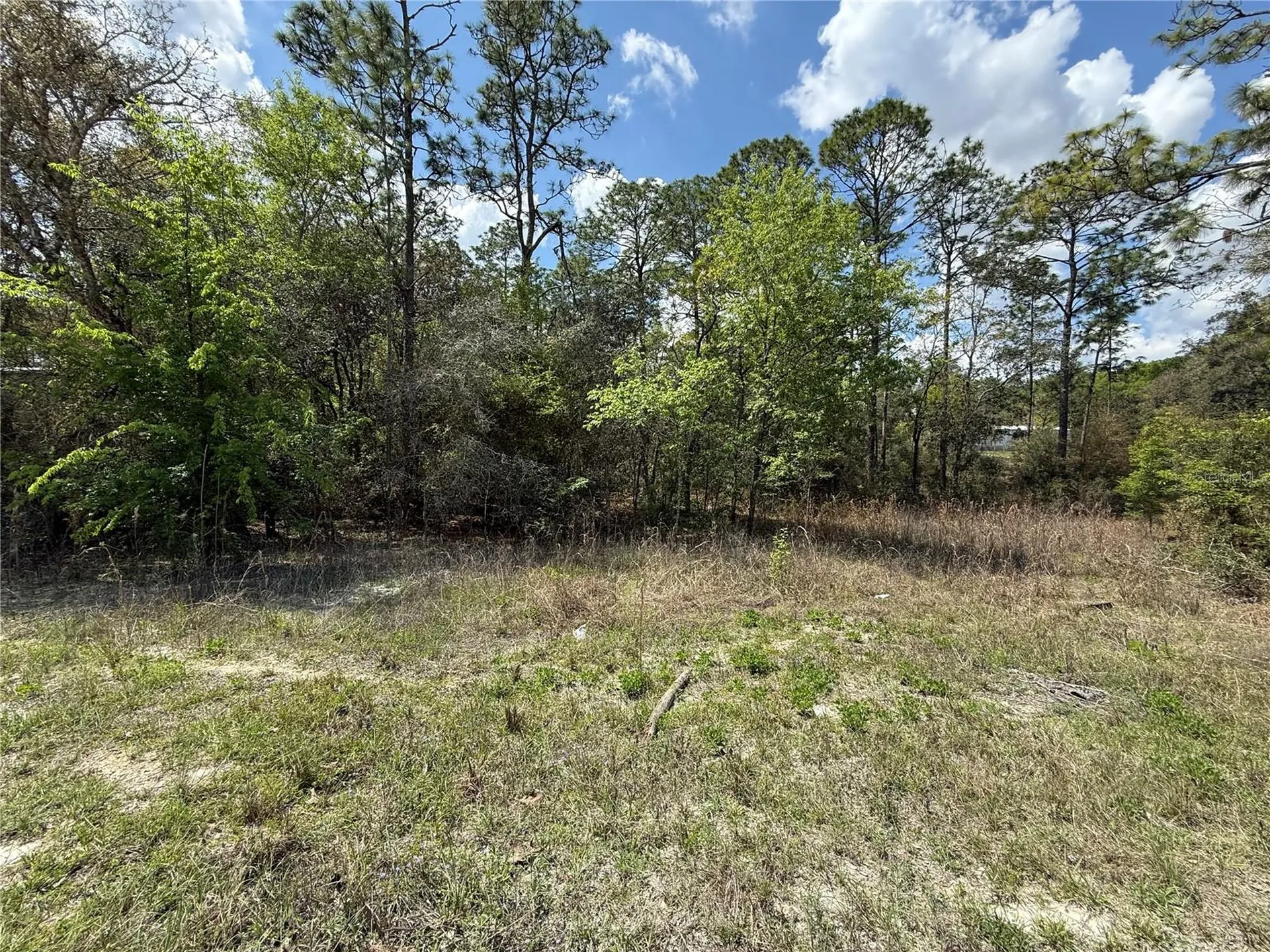 Tbd SE 150th Avenue Morriston FL 32668