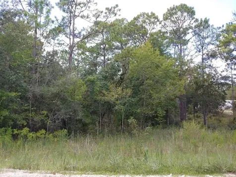 Tbd SE 150th Avenue Morriston FL 32668
