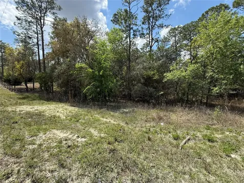 Tbd SE 150th Avenue Morriston FL 32668