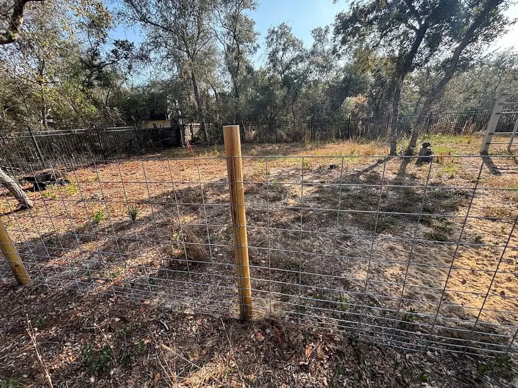 15594 NE 233rd Place Fort Mc Coy FL 32134