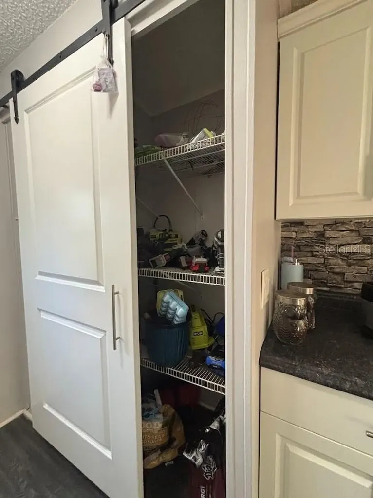 15594 NE 233rd Place Fort Mc Coy FL 32134