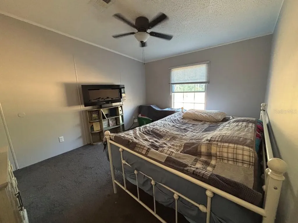 15594 NE 233rd Place Fort Mc Coy FL 32134