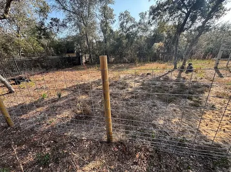 15594 NE 233rd Place Fort Mc Coy FL 32134