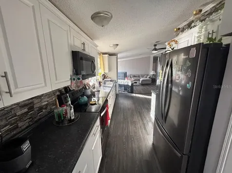 15594 NE 233rd Place Fort Mc Coy FL 32134