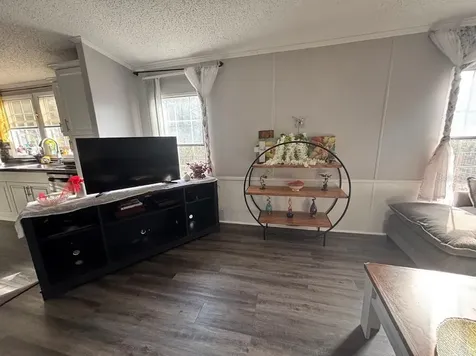 15594 NE 233rd Place Fort Mc Coy FL 32134