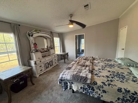 15594 NE 233rd Place Fort Mc Coy FL 32134
