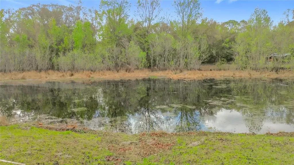 1975 N Scenic Way Crystal River FL 34429