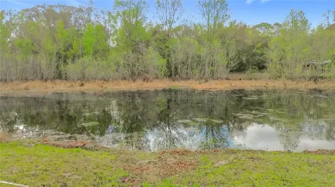 1975 N Scenic Way Crystal River FL 34429