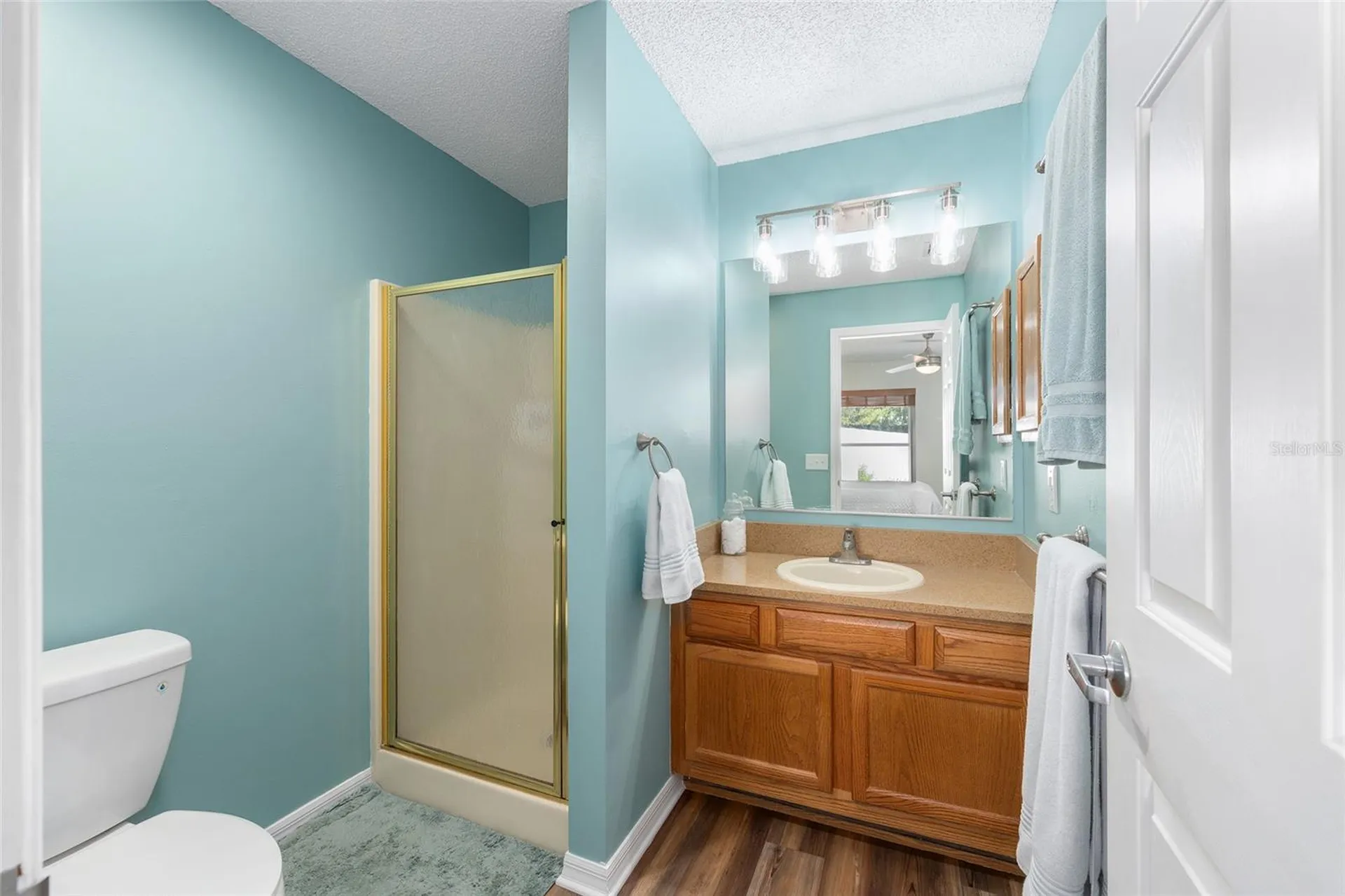 1717 Francisco Street The Villages FL 32159