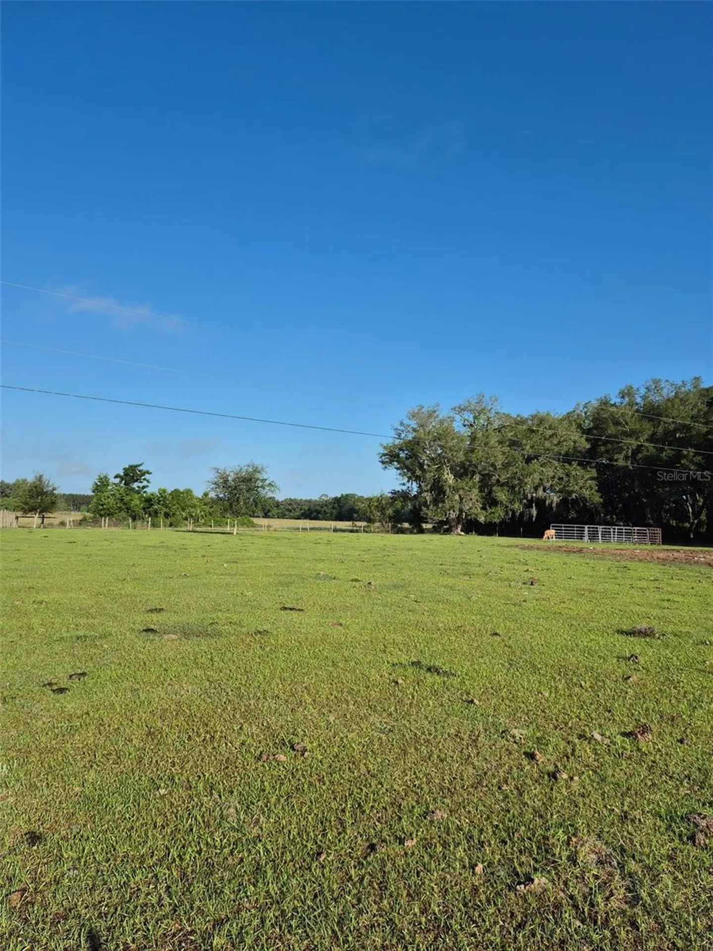 4351 NW 76th Court Chiefland FL 32626