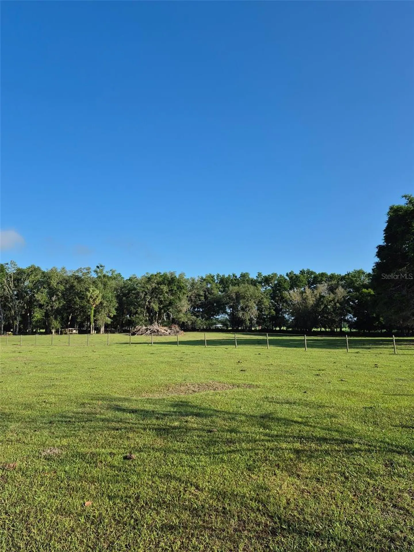 4351 NW 76th Court Chiefland FL 32626